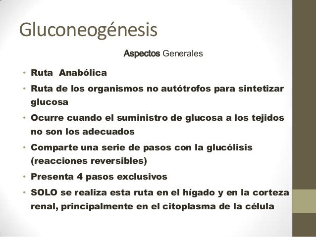Menú Visitante